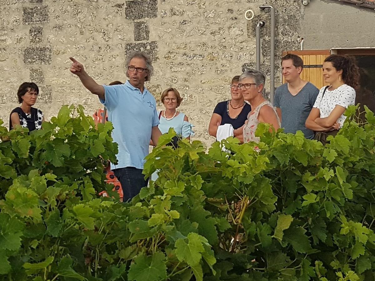 Hotel Le Coeur Des Vignes Pauillac Exteriér fotografie